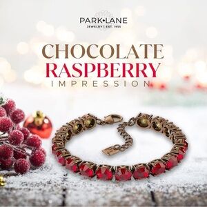 Park Lane Chocolate Raspberry Impression